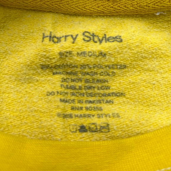 Harry Styles ‘Kiwi’ Crewneck Merch - Picture 4 of 5